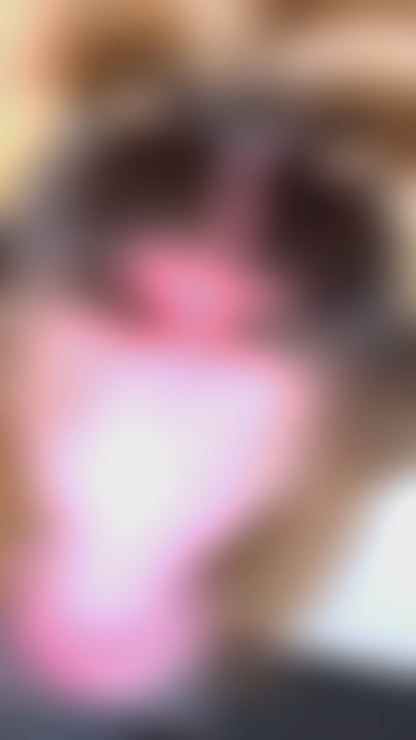 XL Brunette Pigtails