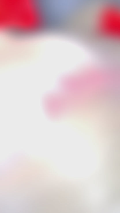 Valentine’s Day Pigtails