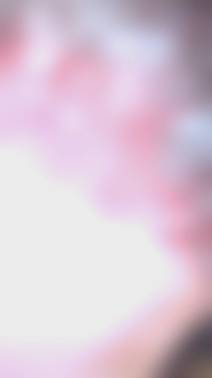 Brunette Flip Bang Styled